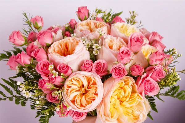 عکس Dream Rose Florist