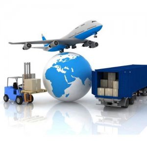 Freight Services International