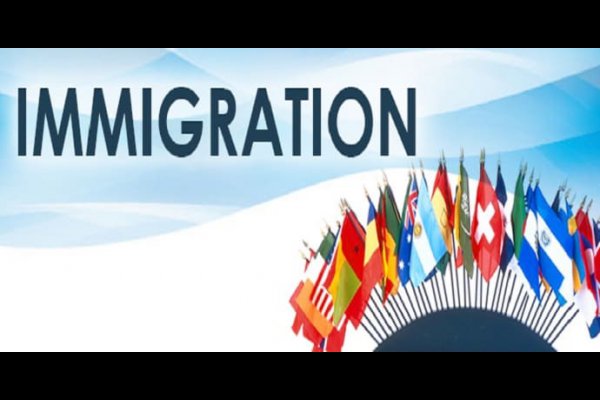 عکس Dorsa Immigration Inc