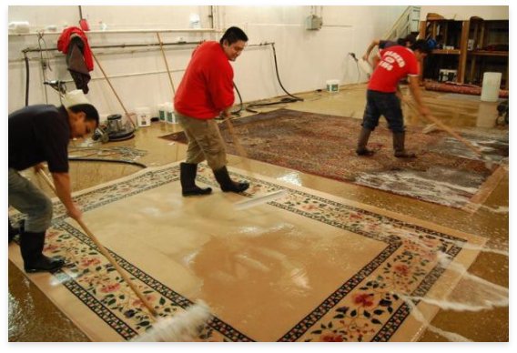عکس Master Carpet Cleaning