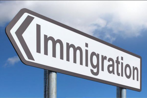 عکس Ahmadi Immigration Services Inc