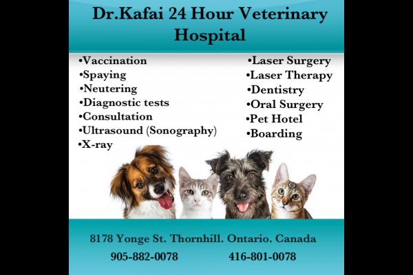 عکس Dr Kafai Veterinary Hospital
