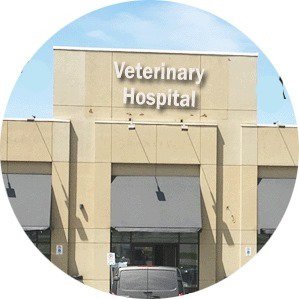 Dr Kafai Veterinary Hospital