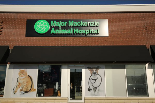عکس Major Mackenzie Animal Hospital
