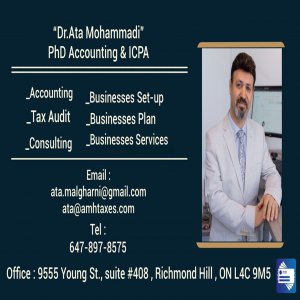 Accounting.ICPA
